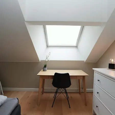 Bright & Modern Scandinavian Attic In Center 赫尔辛基