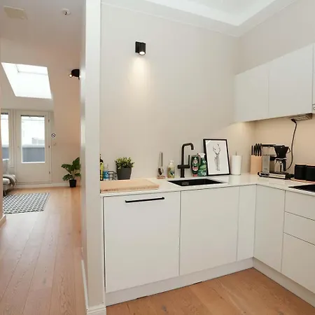 Bright & Modern Scandinavian Attic In Center Huoneisto *